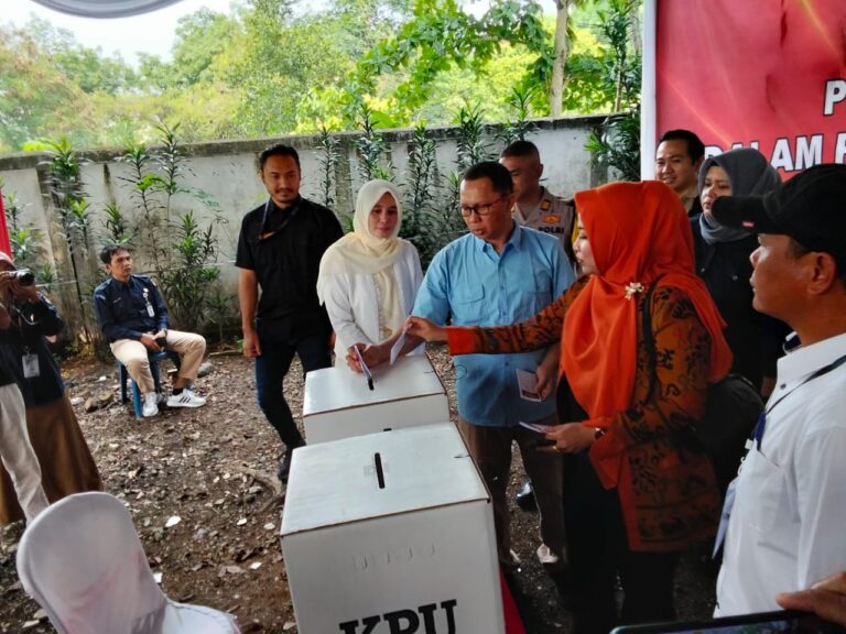 WhatsApp Image 2024-11-16 at 09.29.06