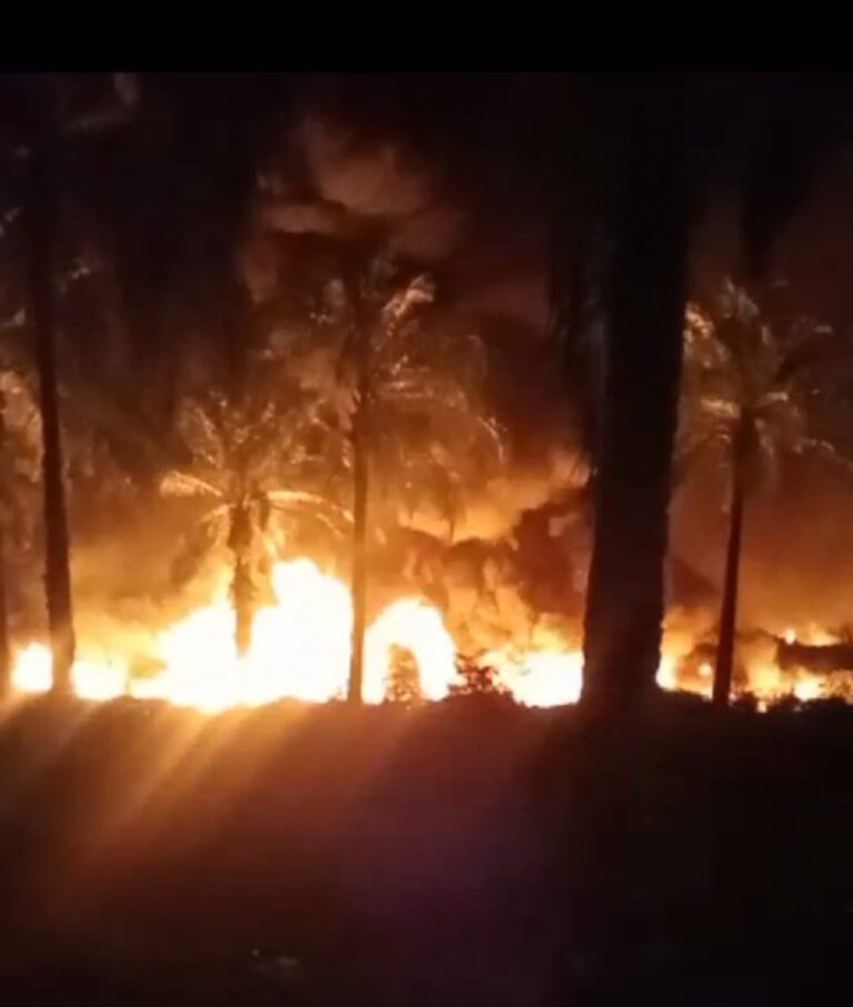 WhatsApp Image 2024-11-18 at 21.22.56