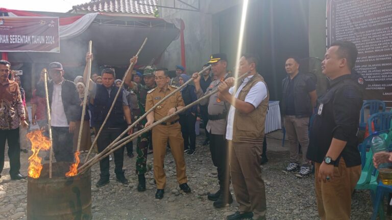 WhatsApp Image 2024-11-26 at 18.58.56