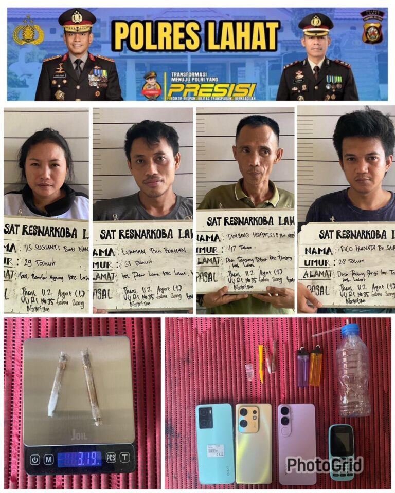 WhatsApp Image 2024-12-11 at 18.49.58