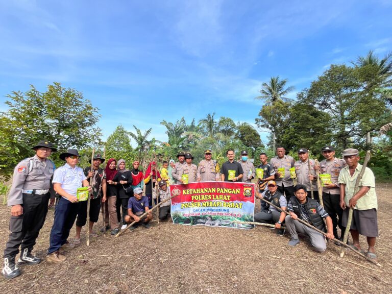 WhatsApp Image 2024-12-13 at 13.41.23