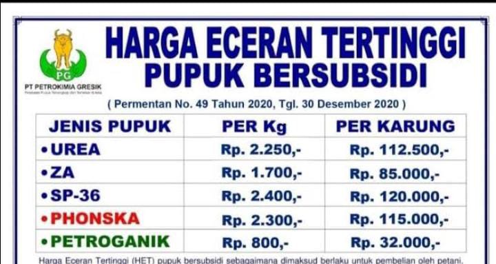 WhatsApp Image 2024-12-15 at 11.26.25