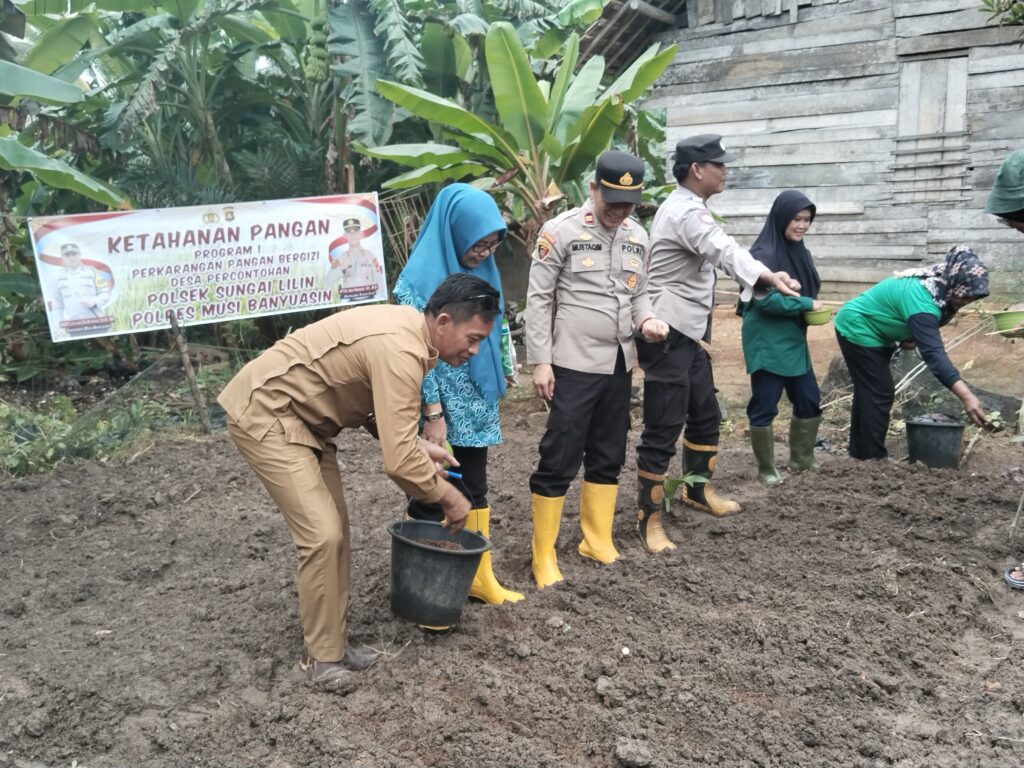 WhatsApp Image 2024-12-16 at 16.52.56