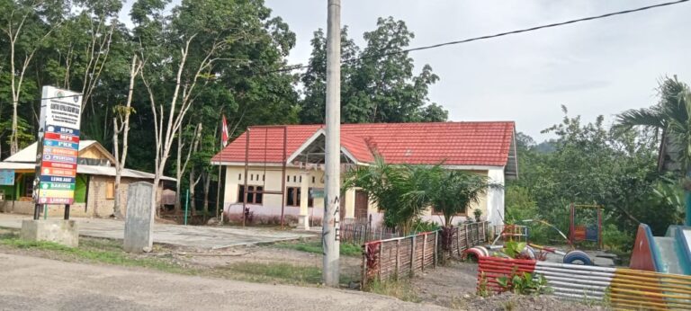 WhatsApp Image 2024-12-28 at 19.53.08