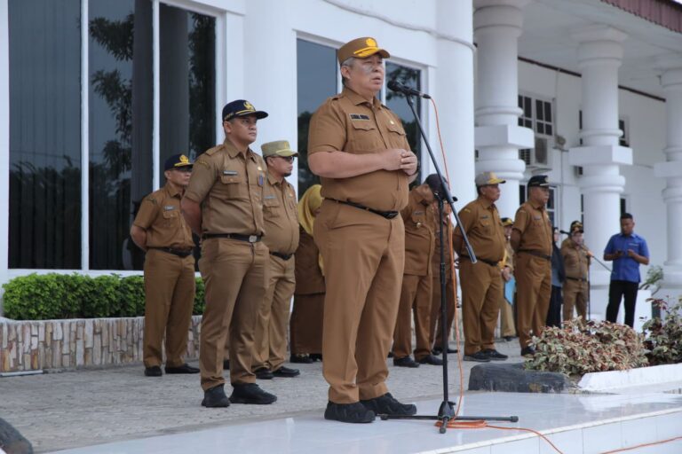 WhatsApp Image 2025-01-06 at 22.31.51