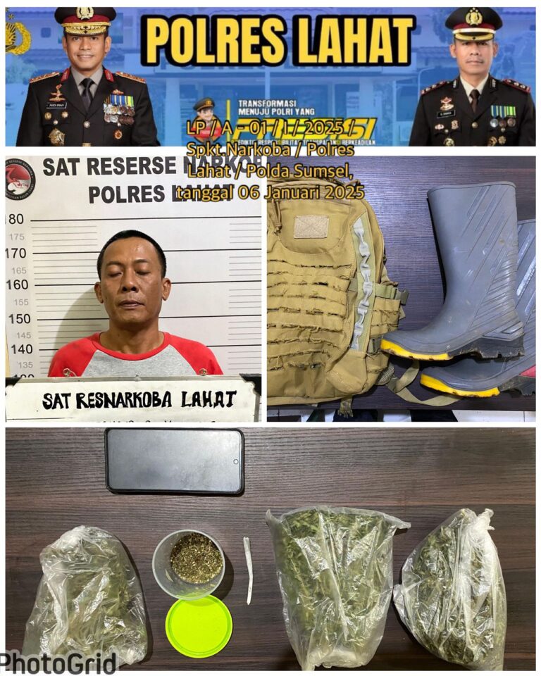 WhatsApp Image 2025-01-08 at 09.14.42