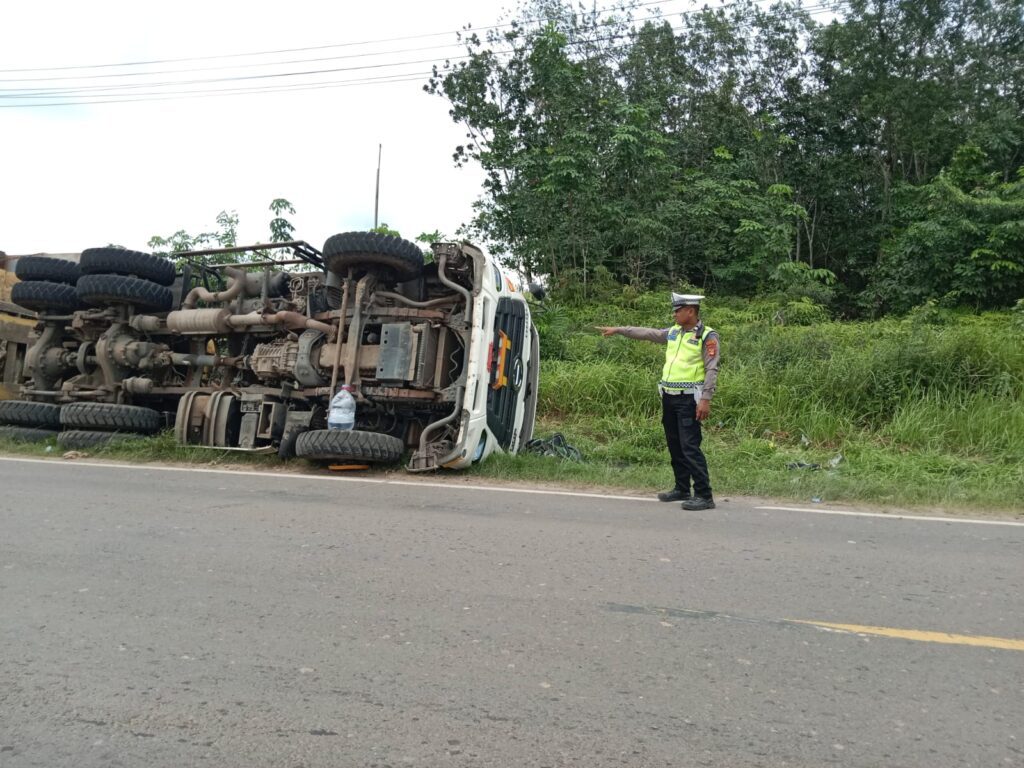 WhatsApp Image 2025-01-12 at 00.44.46