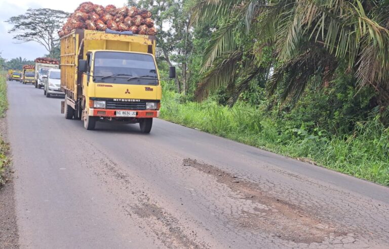 WhatsApp Image 2025-01-28 at 11.29.14