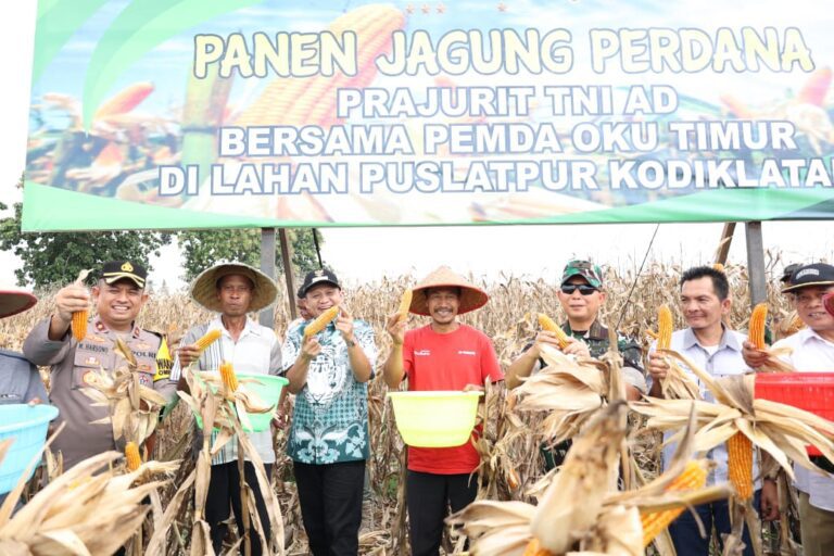 WhatsApp Image 2025-02-11 at 14.40.28