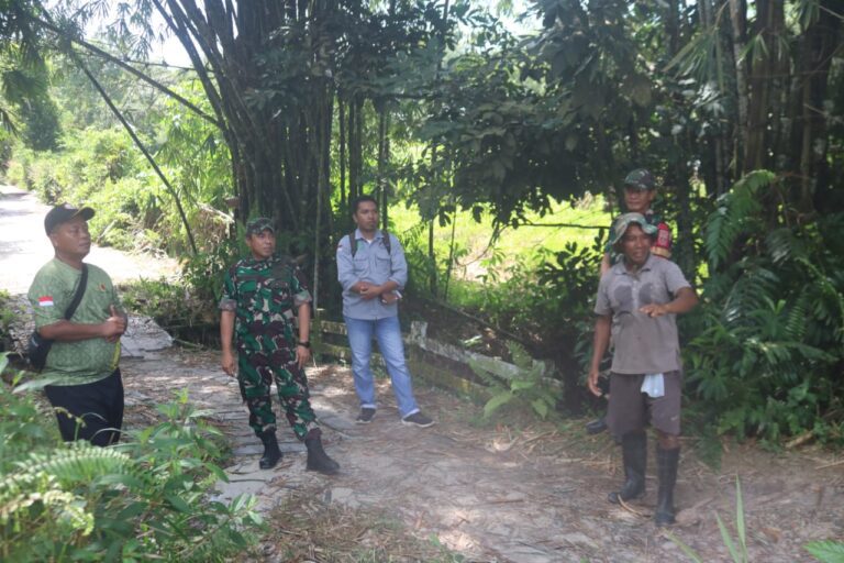 WhatsApp Image 2025-02-13 at 08.11.27 (1)