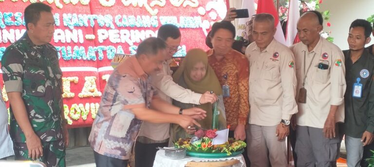 WhatsApp Image 2025-02-15 at 18.57.36