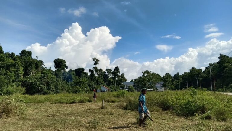 WhatsApp Image 2025-02-19 at 10.54.06