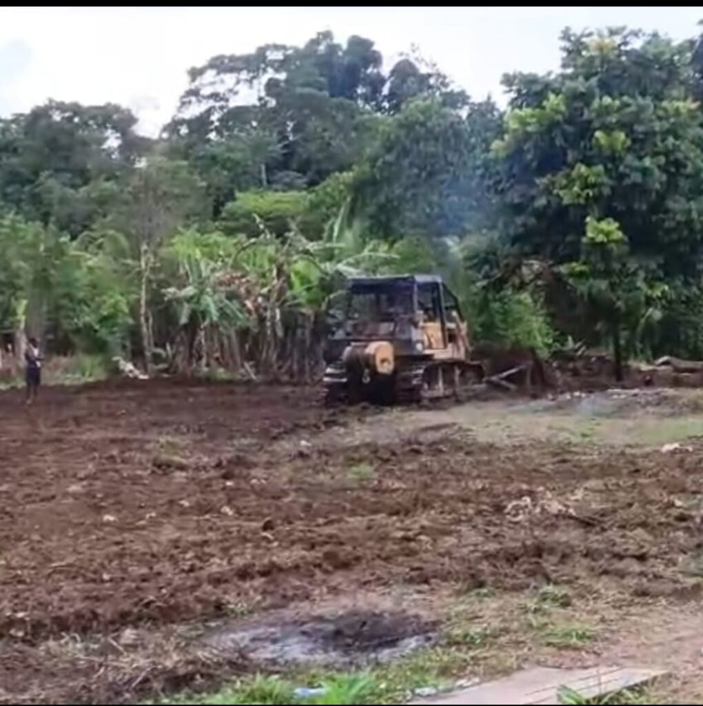 WhatsApp Image 2025-02-20 at 08.14.32