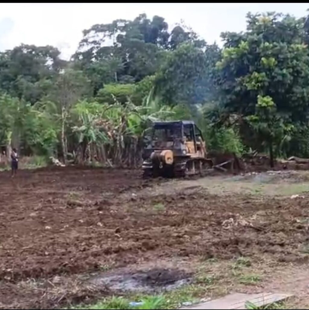 WhatsApp Image 2025-02-20 at 08.14.32