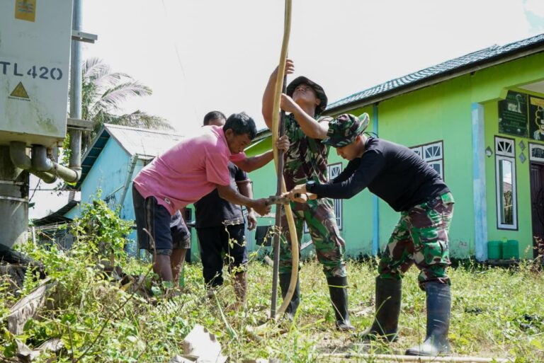 WhatsApp Image 2025-02-20 at 12.32.57