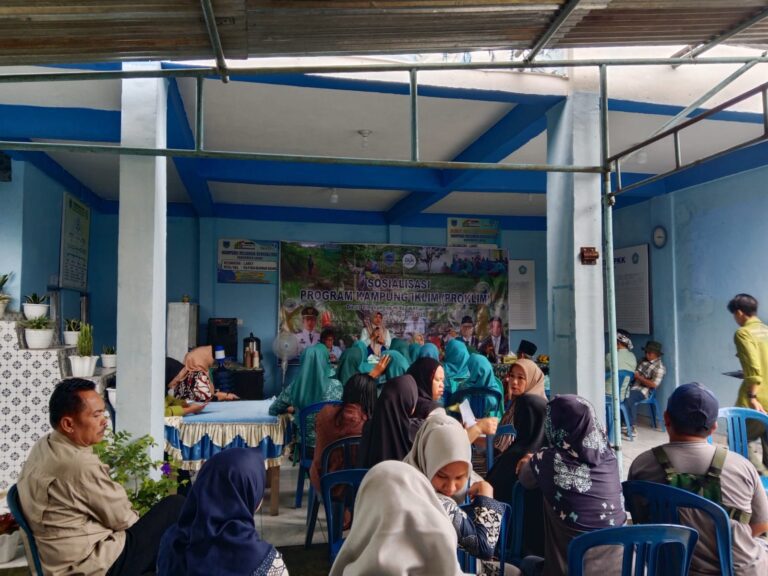 WhatsApp Image 2025-02-20 at 14.57.28 (1)