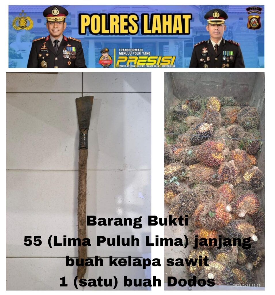 WhatsApp Image 2025-02-23 at 08.01.25