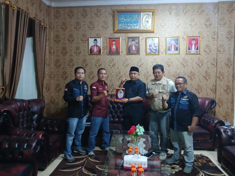 WhatsApp Image 2025-02-25 at 18.17.42