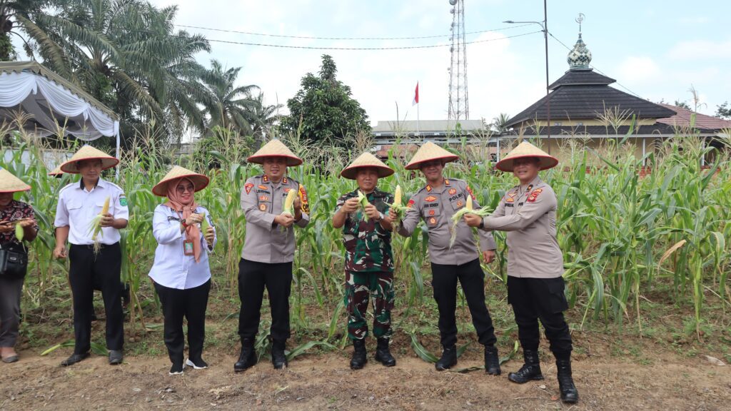 WhatsApp Image 2025-02-26 at 19.58.37