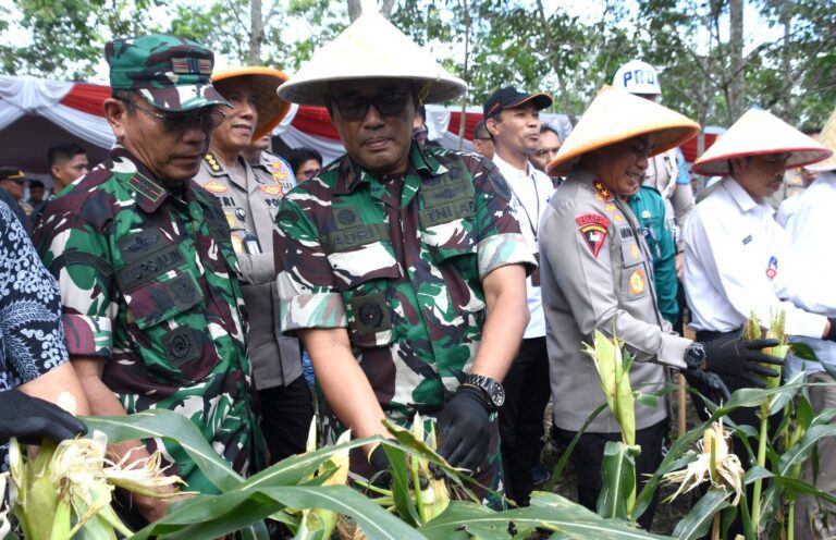 WhatsApp Image 2025-02-27 at 20.52.40