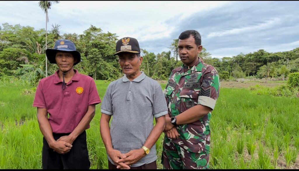 WhatsApp Image 2025-03-01 at 11.24.23