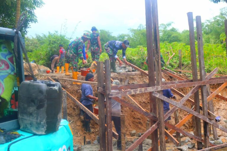 WhatsApp Image 2025-03-03 at 12.23.45