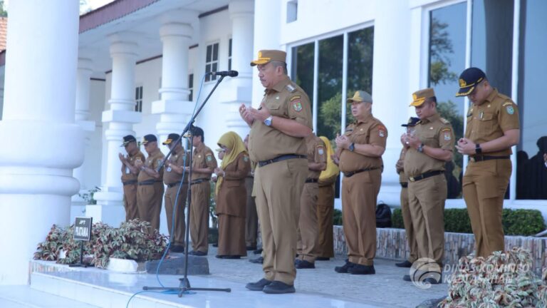 WhatsApp Image 2025-03-03 at 21.05.52