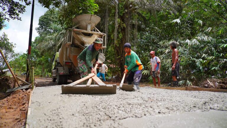 WhatsApp Image 2025-03-05 at 12.23.52