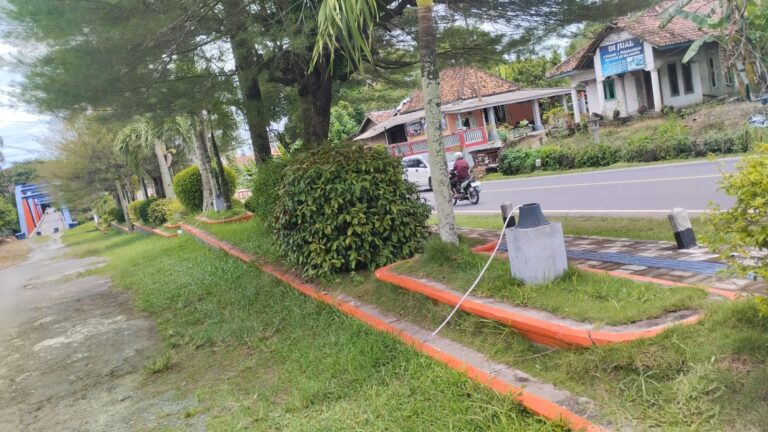 WhatsApp Image 2025-03-07 at 18.41.45