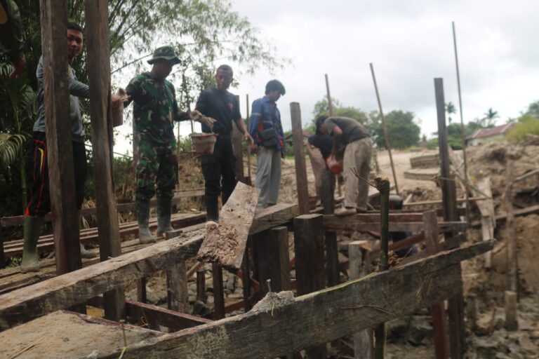 WhatsApp Image 2025-03-08 at 12.44.11