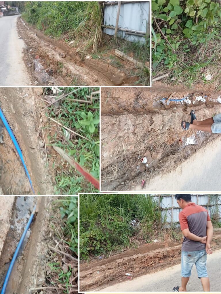 WhatsApp Image 2025-03-11 at 08.00.47