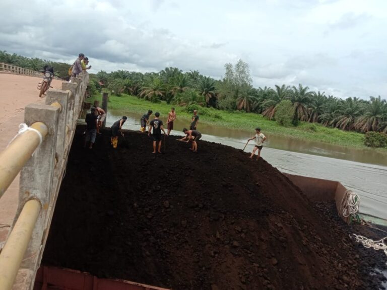 WhatsApp Image 2025-03-14 at 17.37.47