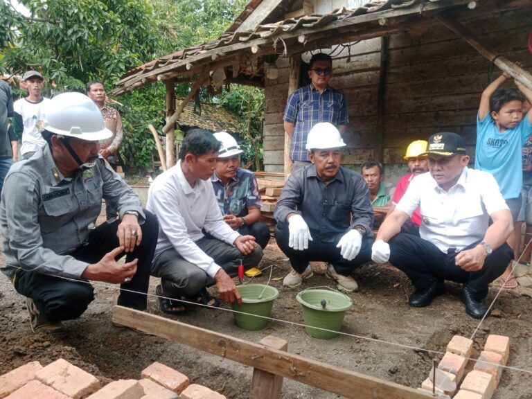 WhatsApp Image 2025-03-14 at 20.33.12