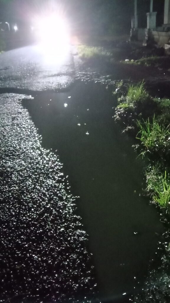 WhatsApp Image 2025-04-15 at 21.35.39