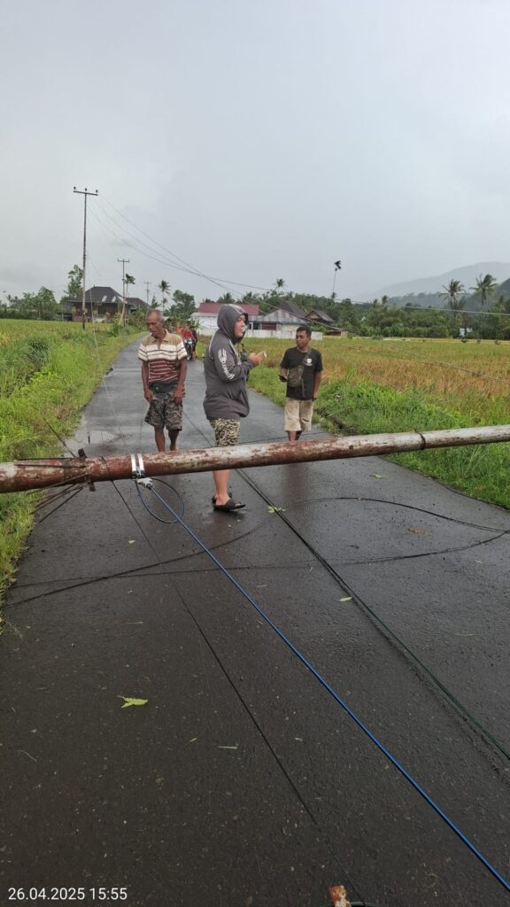 WhatsApp Image 2025-04-26 at 19.08.32