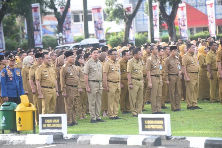 WhatsApp-Image-2025-04-08-at-14.14.35_bb71d26a-1024x683