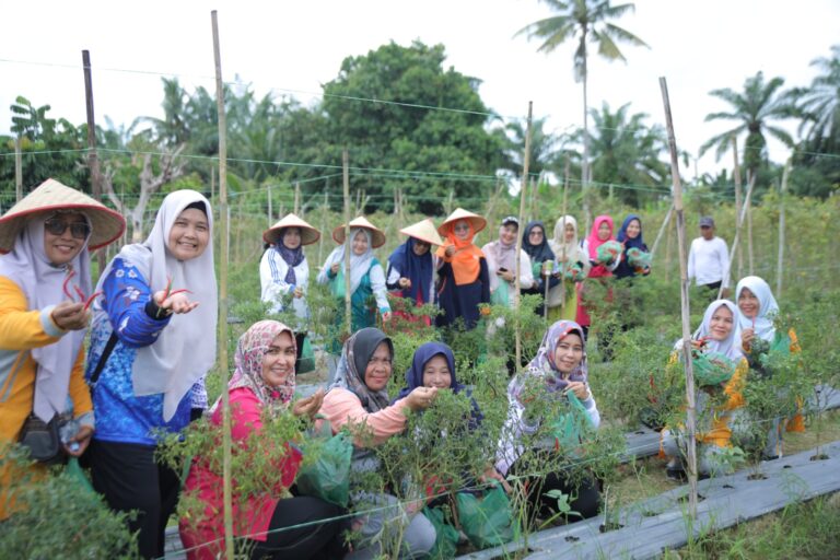 WhatsApp Image 2025-04-30 at 19.40.35