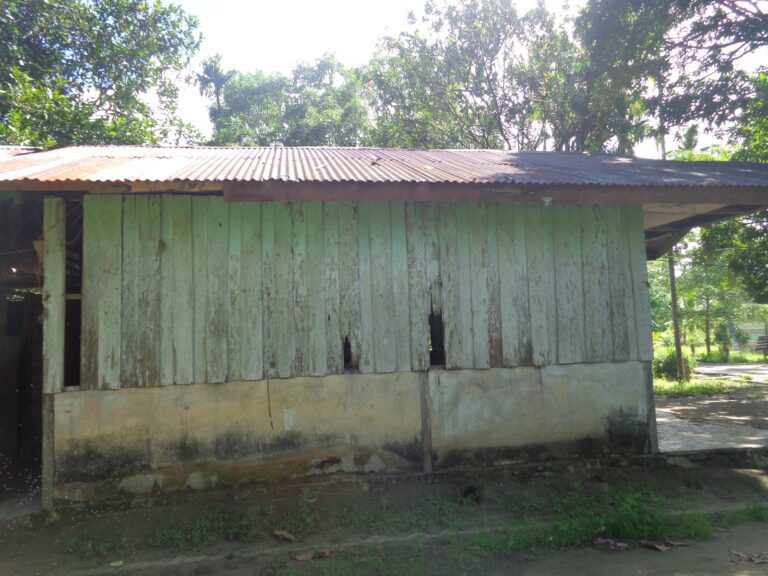 WhatsApp Image 2025-05-02 at 08.26.25 (1)