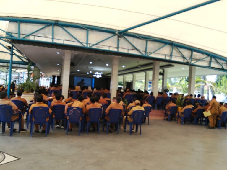 WhatsApp Image 2025-05-06 at 17.46.53