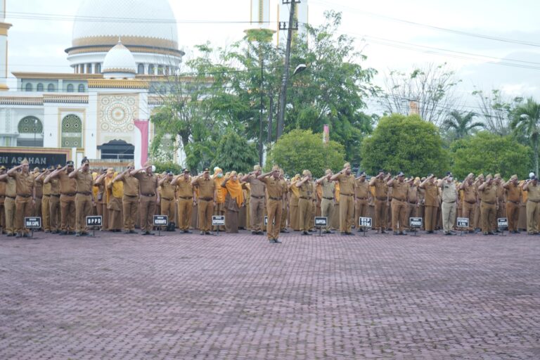 WhatsApp Image 2025-05-06 at 20.51.25 (1)