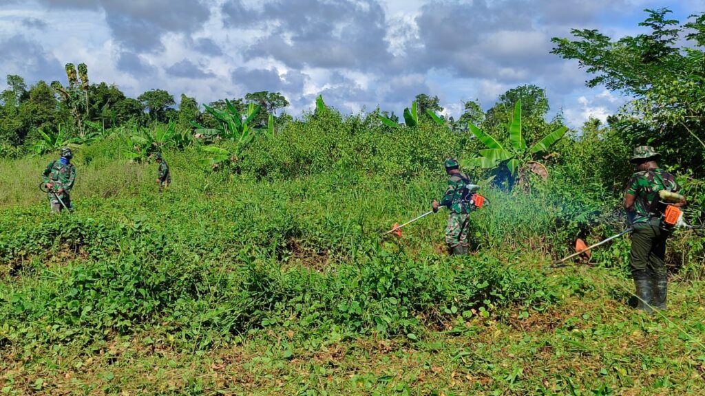 WhatsApp Image 2025-05-07 at 11.49.47