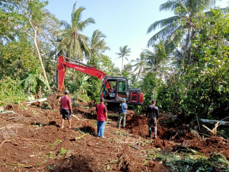 WhatsApp Image 2025-05-07 at 17.46.10