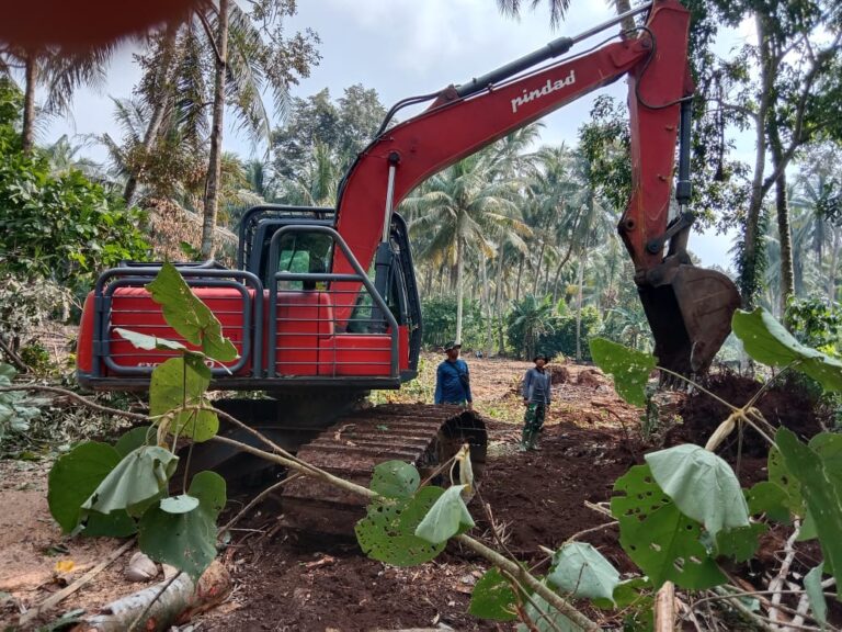 WhatsApp Image 2025-05-07 at 17.46.24