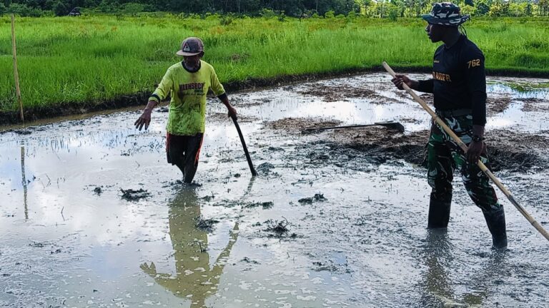 WhatsApp Image 2025-05-11 at 06.12.16