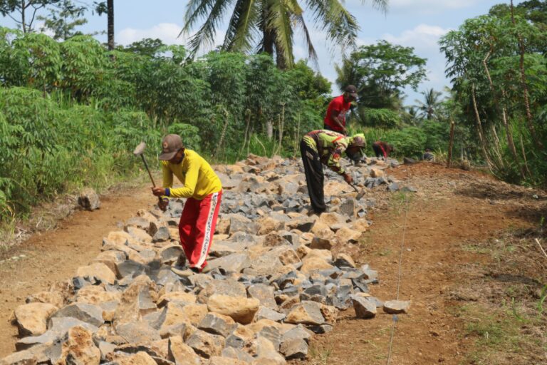 WhatsApp Image 2025-05-11 at 19.16.38