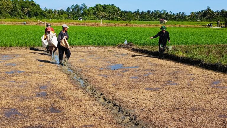 WhatsApp Image 2025-05-13 at 05.37.20 (1)