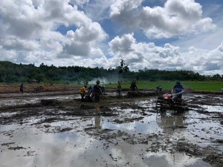 WhatsApp Image 2025-05-15 at 07.32.22