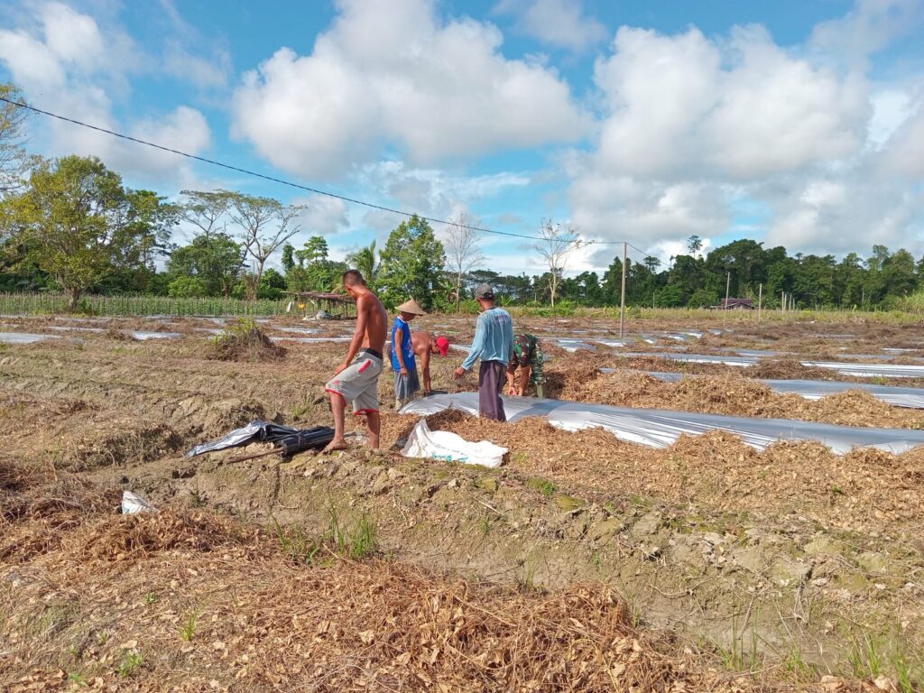 WhatsApp Image 2025-05-22 at 12.50.41 (1)