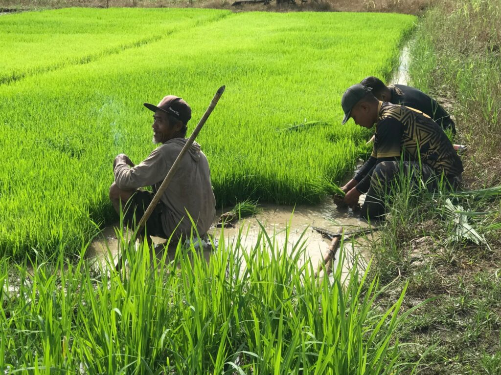 WhatsApp Image 2025-05-27 at 07.09.02 (1)