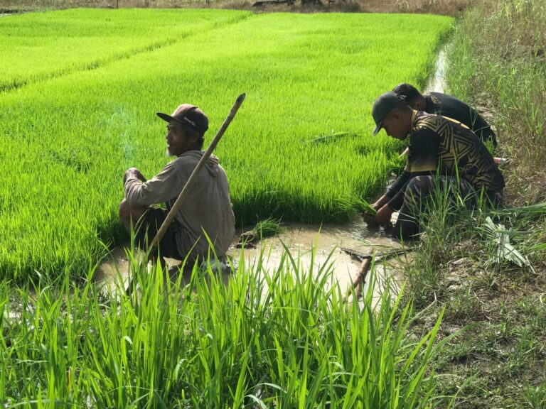 WhatsApp Image 2025-05-27 at 07.09.02 (1)